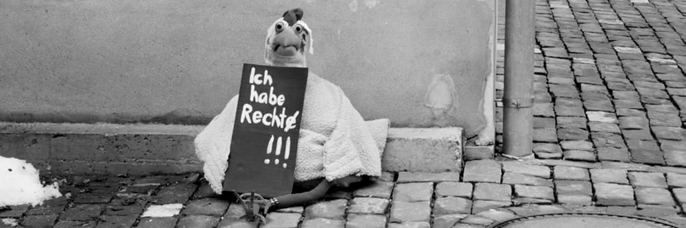 Team Goliath: Paula bis in die Puppen-Stammtisch